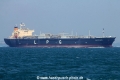 Yuricosmos (MS-060418-02).jpg