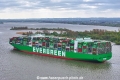 Ever Echo 250426-05.jpg