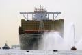 MSC Zoe (JS-010815-12).jpg