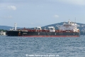 Orient M (OK-010923-2).jpg