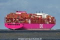ONE Forward (KK-050624-5).jpg