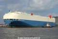 Swallow Ace SH-020314-01.jpg