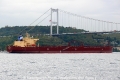 NS Lotus (OK-011013-2).jpg