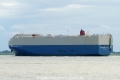 Supreme Ace (KK-030716-2).jpg