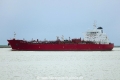 Hafnia Soya (KK-211116-0).jpg