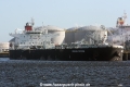 Ocean Crown (MM-120709-1).jpg