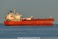 Hafnia Valentino (KK-210724-2).jpg