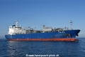 Yara Freya OS-280223-14.jpg