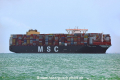 MSC Arina OS-071019-01.jpg