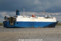 Single Eagle TL-250417-3.jpg