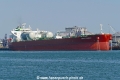 Pacific Garnet (MB-030922-6).jpg