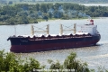 Crimson Queen 120614-04.jpg