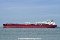 Pacific Sapphire (KB-D030624-01).jpg