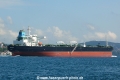 Patroclus (OK-050814-3).jpg