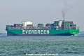 Ever Mild OS-231025-17.jpg