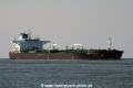 Overseas Redwood (JS-270814-01).jpg