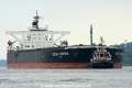 Ocean Corona (KB-D140711-01)THB.jpg
