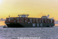 MSC Mina (MM-090919-3).jpg