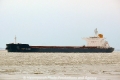 Orient Cavalier (OK-110212-0).jpg