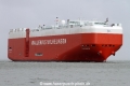 Toreador SH-180814-01.jpg