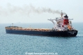 Pacific Canopus HK-280812.jpg