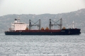 Crown Mina (OK-011013-1).jpg