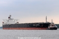 Ocean Corona (KB-D140711-02)THB.jpg