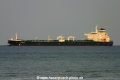 Penelop (JS-230607-03).jpg