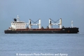 Crane (MS-101011-03).jpg