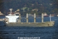 Crinis (LW-071014-01).jpg