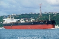 Petalidi (OK-AA-290515-0).jpg