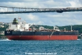 Petalidi (OK-AA-290515-1).jpg