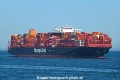 Tihama OS-110822-02.jpg
