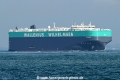 Traviata OS-221024-1.jpg