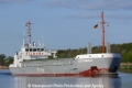 Flinterbirka (MB-020510-4).jpg