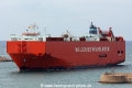 Terrier (221006-05).jpg