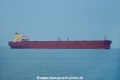 Pacific Coral OS-251016-07.jpg