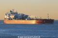 Pacific Diamond TL-270222-2.jpg
