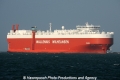 Tirranna OS-120213-05.jpg