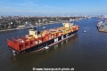 MSC Loreto 270325-07.jpg