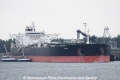 Pola (JS-220613-02).jpg