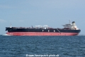Propontis OS-200507-04.jpg