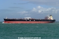 Propontis (MB-250722-4).jpg