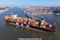 MSC Loreto 270325-16.jpg