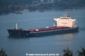 Petalon 310819-03.jpg