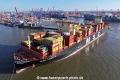 MSC Loreto 270325-20.jpg