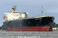 High Efficiency (OK-110816-0).jpg