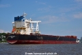 Patriotship (KB-D130722-03).jpg