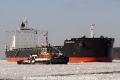 Prosperous (AW-040212-06).jpg