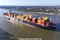 MSC Loreto 270325-04.jpg
